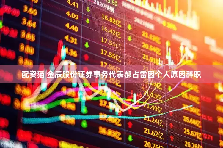 配资猫 金辰股份证券事务代表郝占雷因个人原因辞职