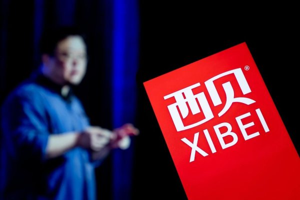 掌尚策 “停战”，谁说了算？